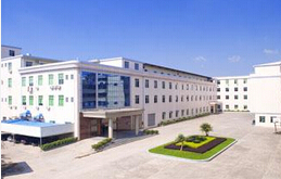 公司資訊-上海必奇實(shí)業(yè)